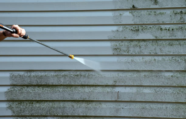 Best Solar Panel Cleaning  in Fulton, TX
